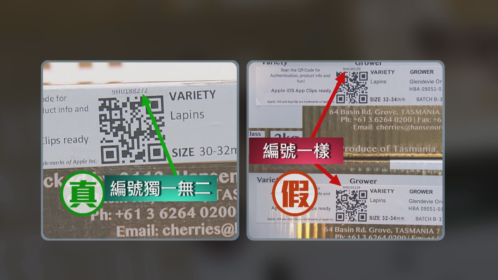 海關檢獲近二百盒冒牌澳洲車厘子　疑以智利車厘子冒充