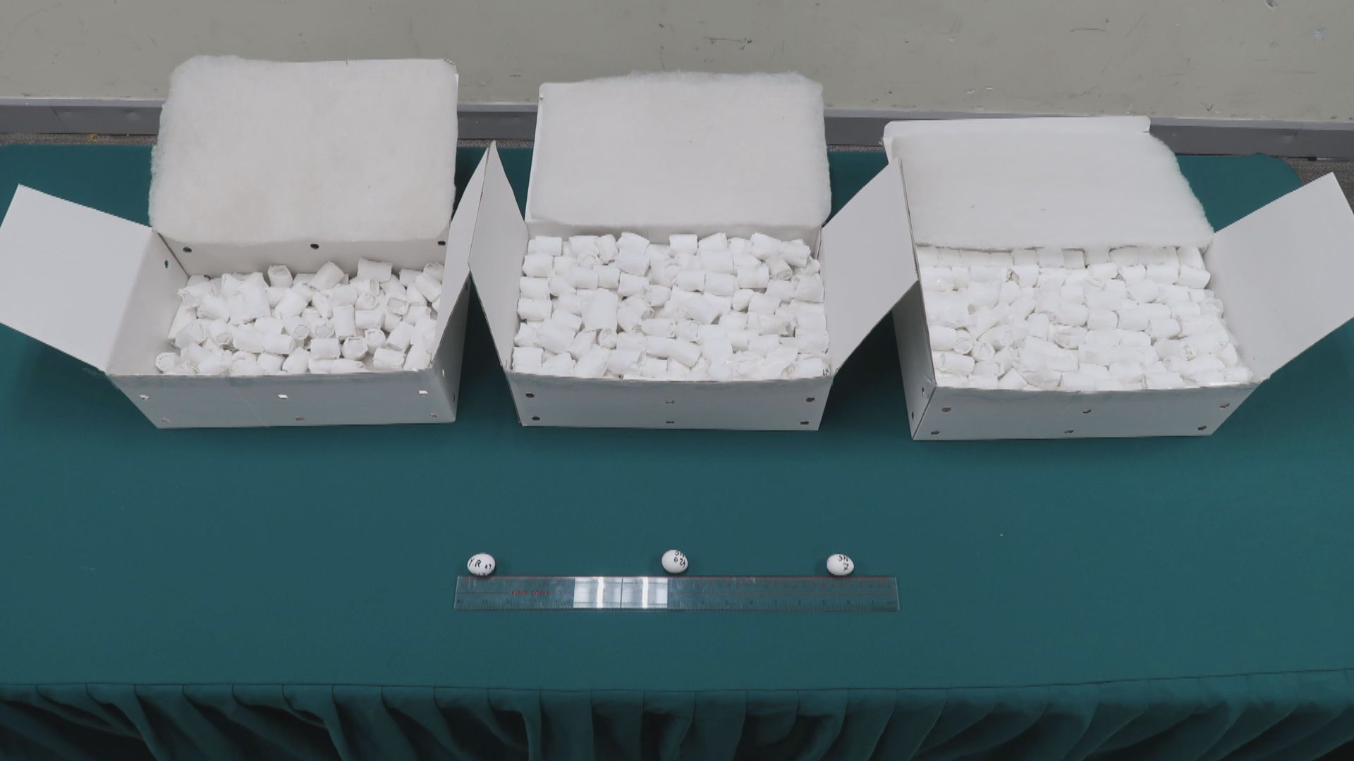 涉偷運逾700隻瀕危鳥蛋　男旅客被捕