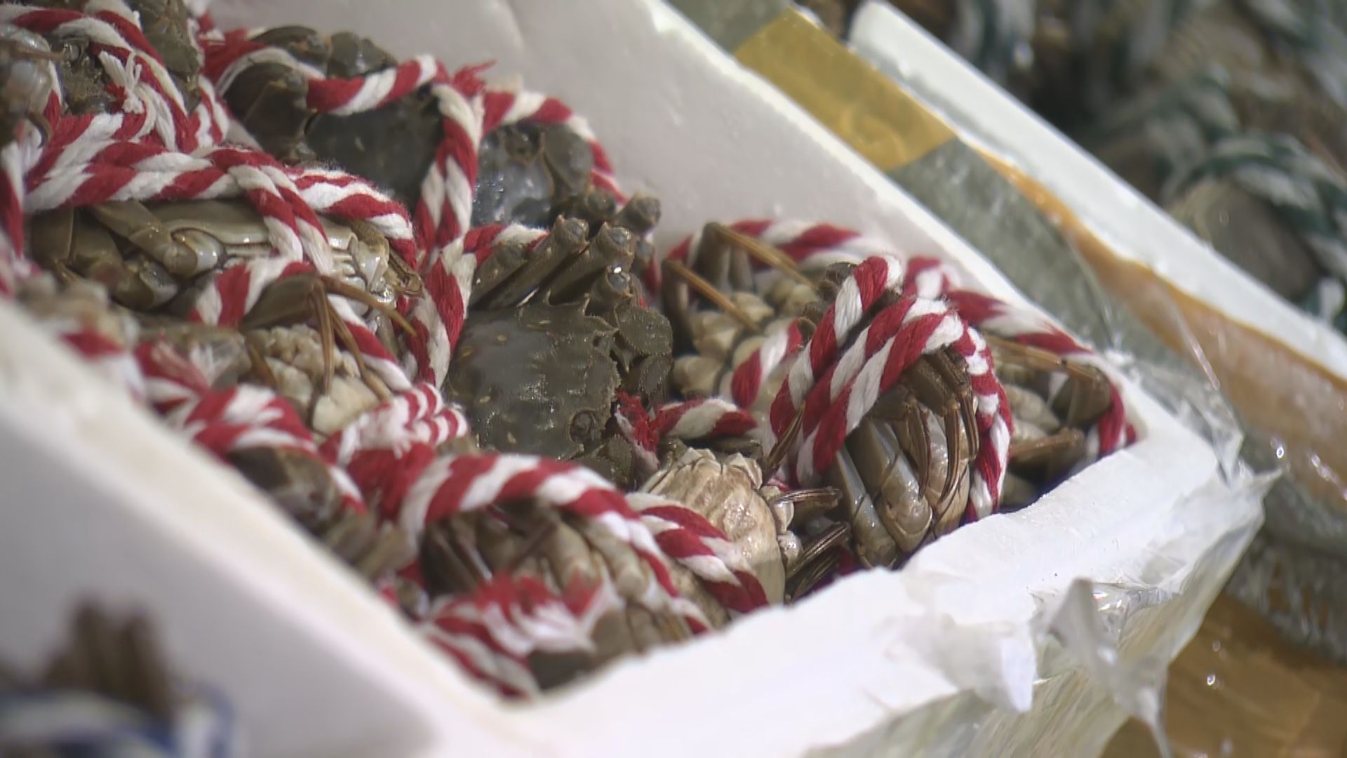 海關檢獲超過800隻懷疑走私大閘蟹 市值約5萬元