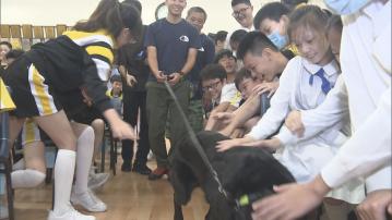 海關退役緝毒犬赴小學 助宣揚禁毒信息