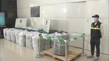 海關檢市值5200萬懷疑大麻花 拘3男