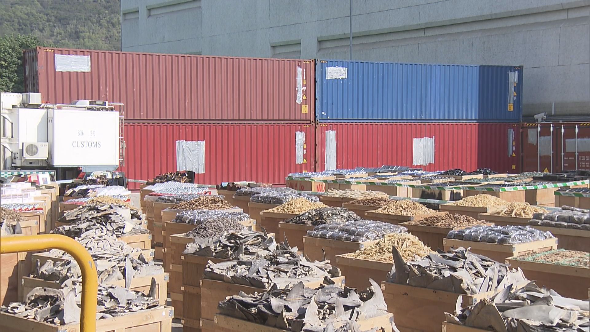 海關偵破遠洋船走私案　檢獲兩億元貨物