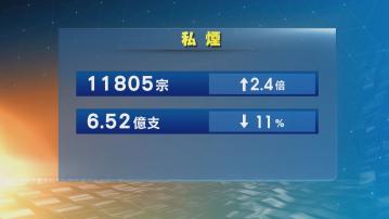 海關去年案件私煙佔比最多 何珮珊︰投入更多資源打擊