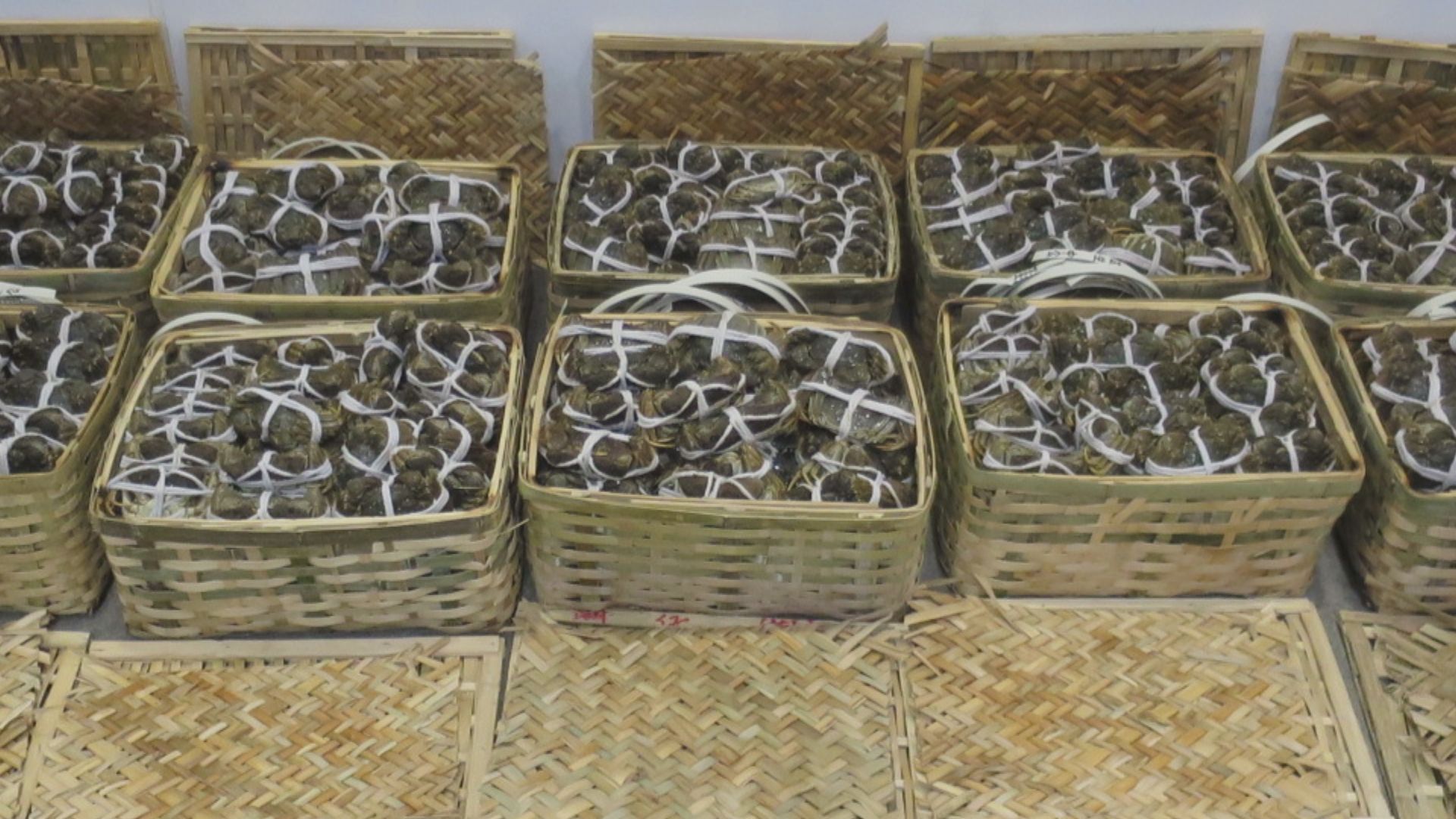 海關食環署檢獲十籮疑走私大閘蟹