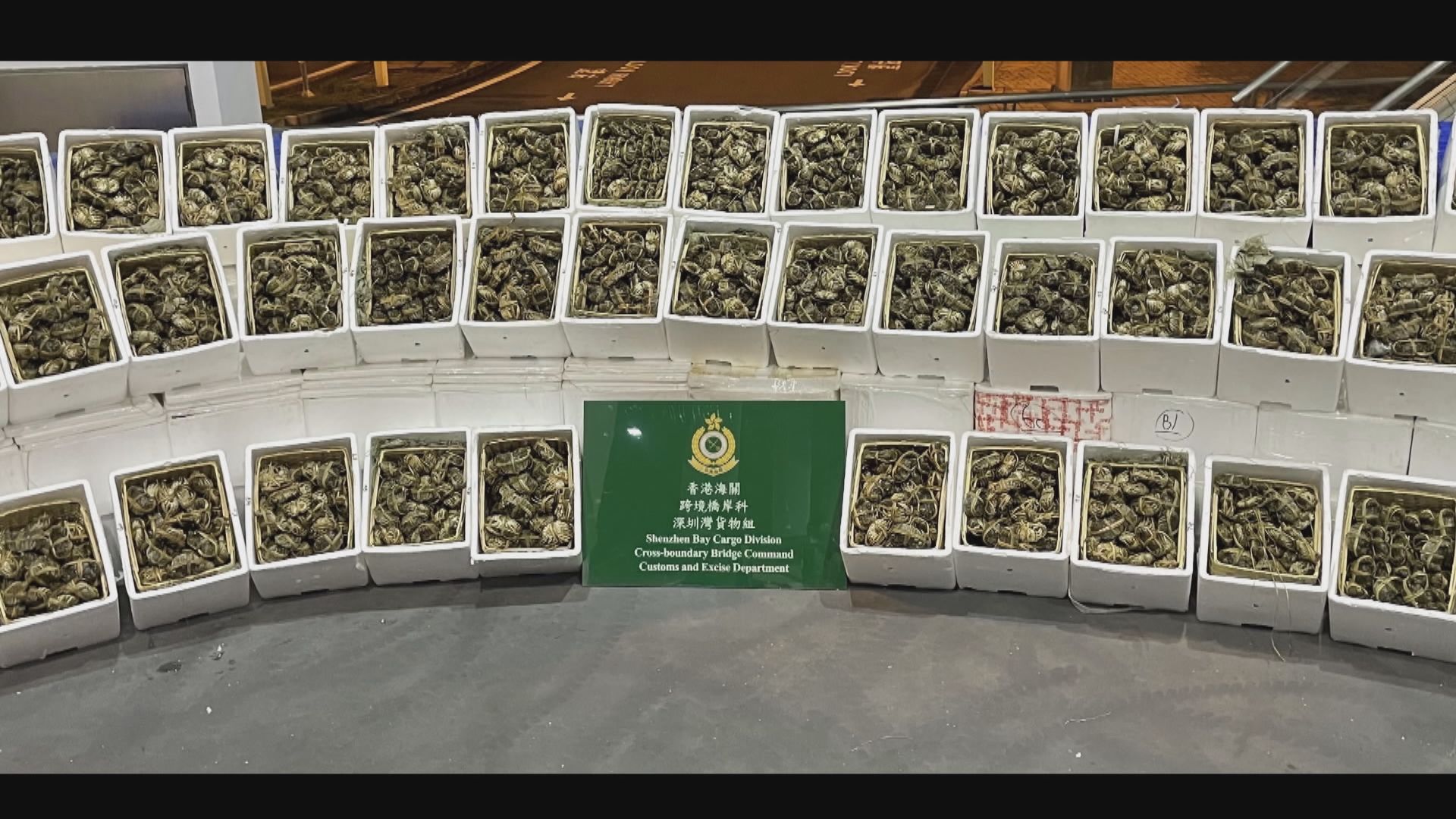 海關與食安中心截獲一萬二千隻走私大閘蟹