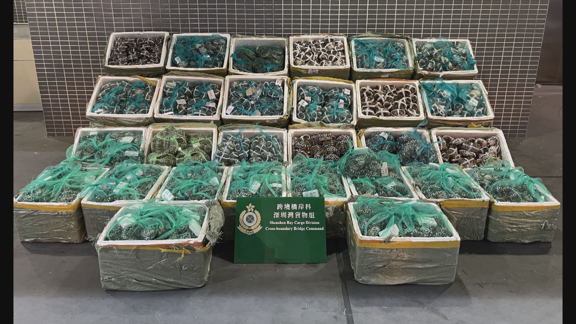 海關聯同食環檢1.4萬隻走私大閘蟹　拘捕三名司機