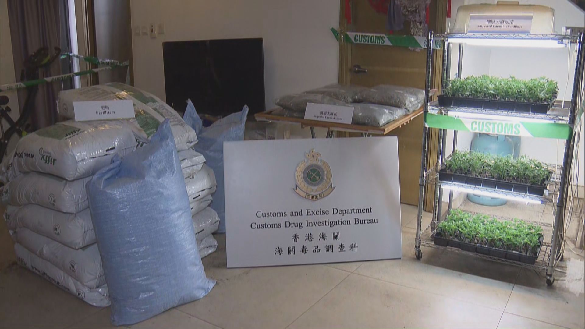 海關偵破歷年最大的大麻種植場　檢7千萬元毒品