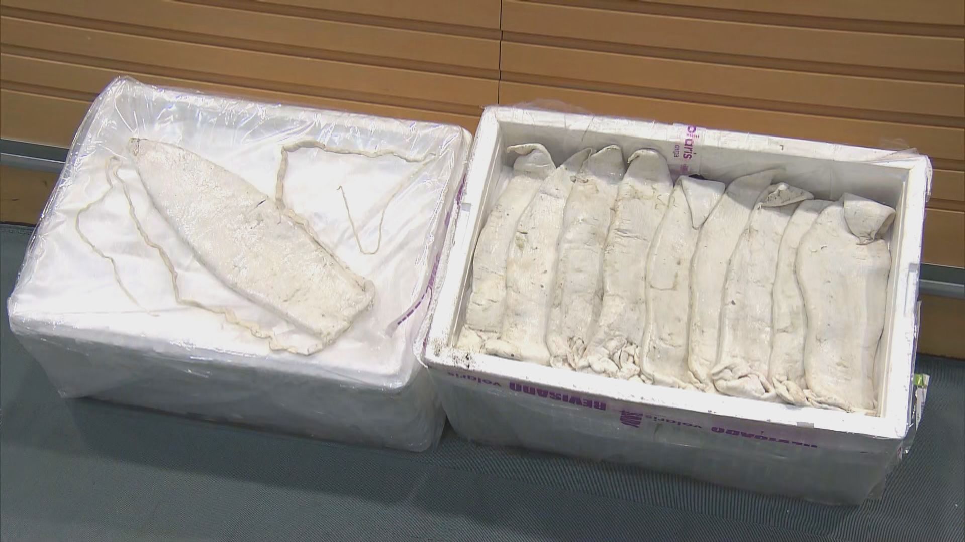 海關五個月內再檢獲石首魚魚肚　估計市值1800萬