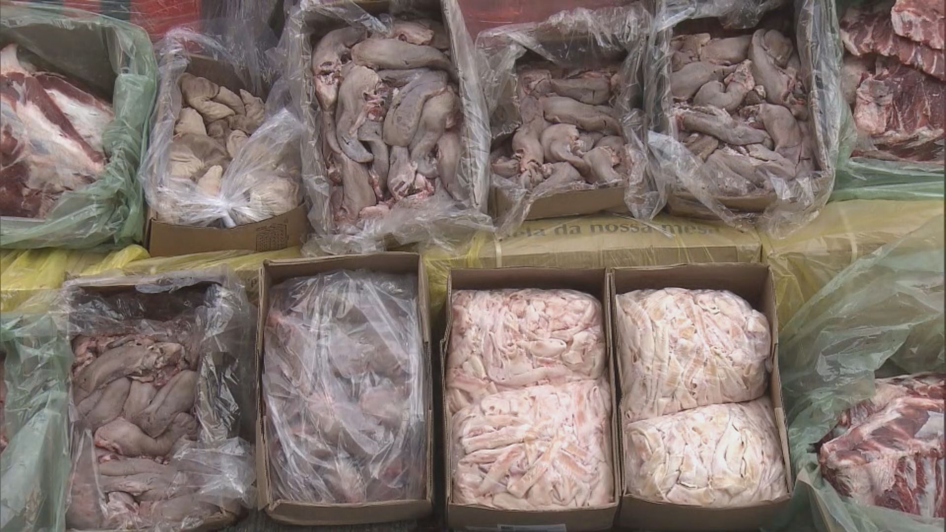 海關檢市值約二千萬元走私凍肉及水果　拘22人