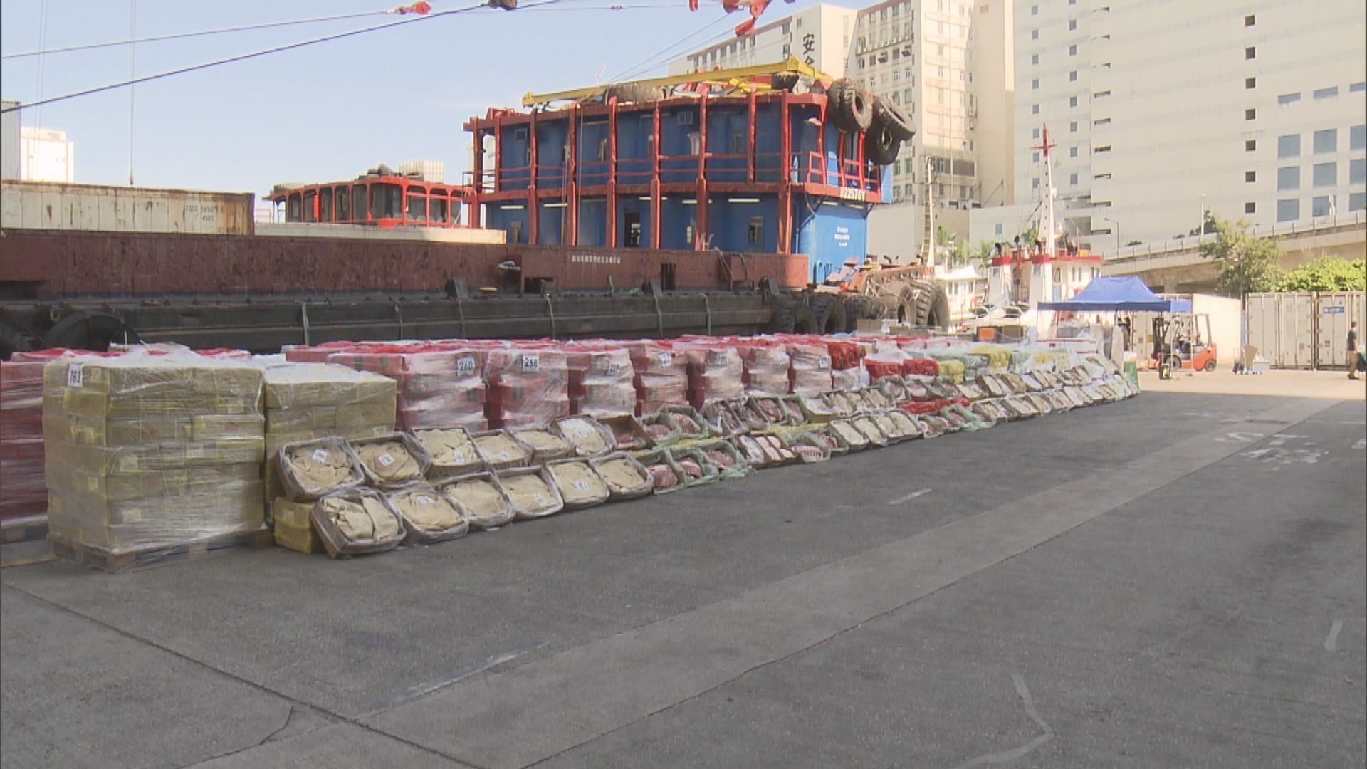 龍鼓洲走私行動拘22人　不排除有更多人被捕