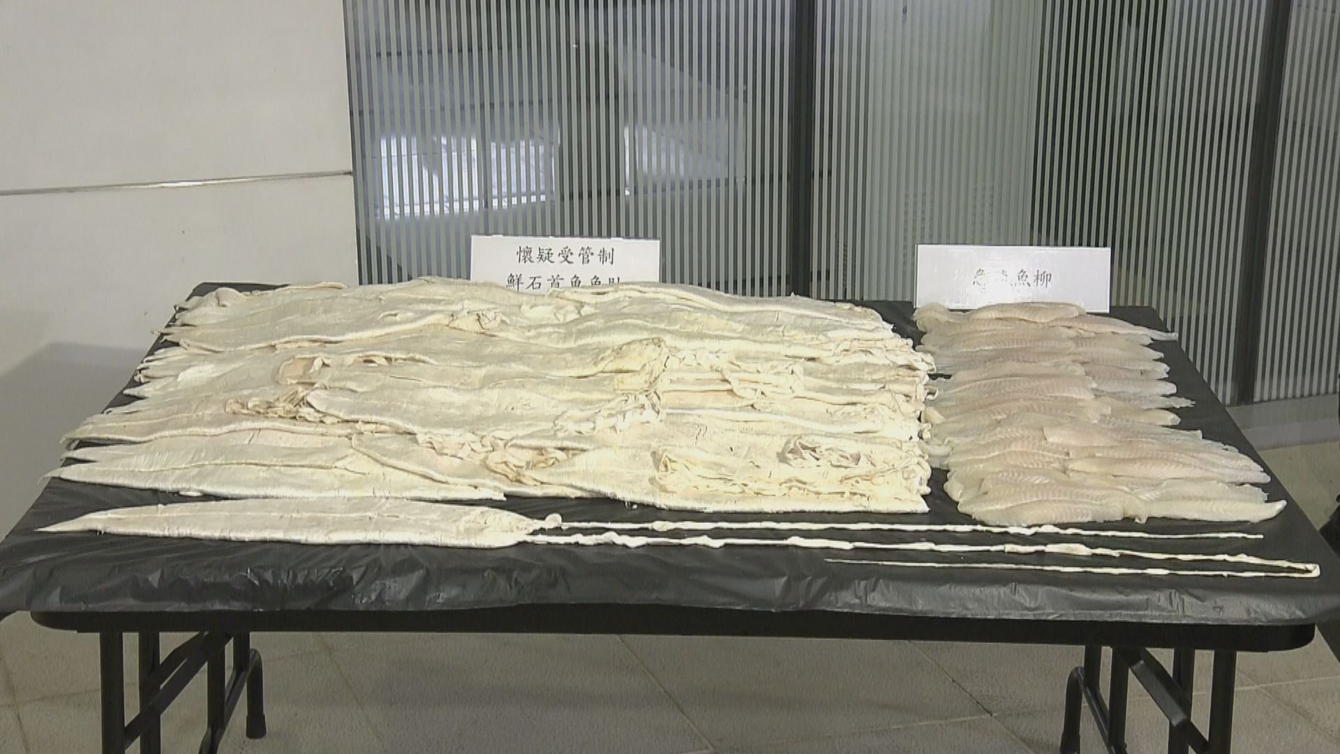 海關機場檢獲約46公斤石首魚魚肚約值740萬