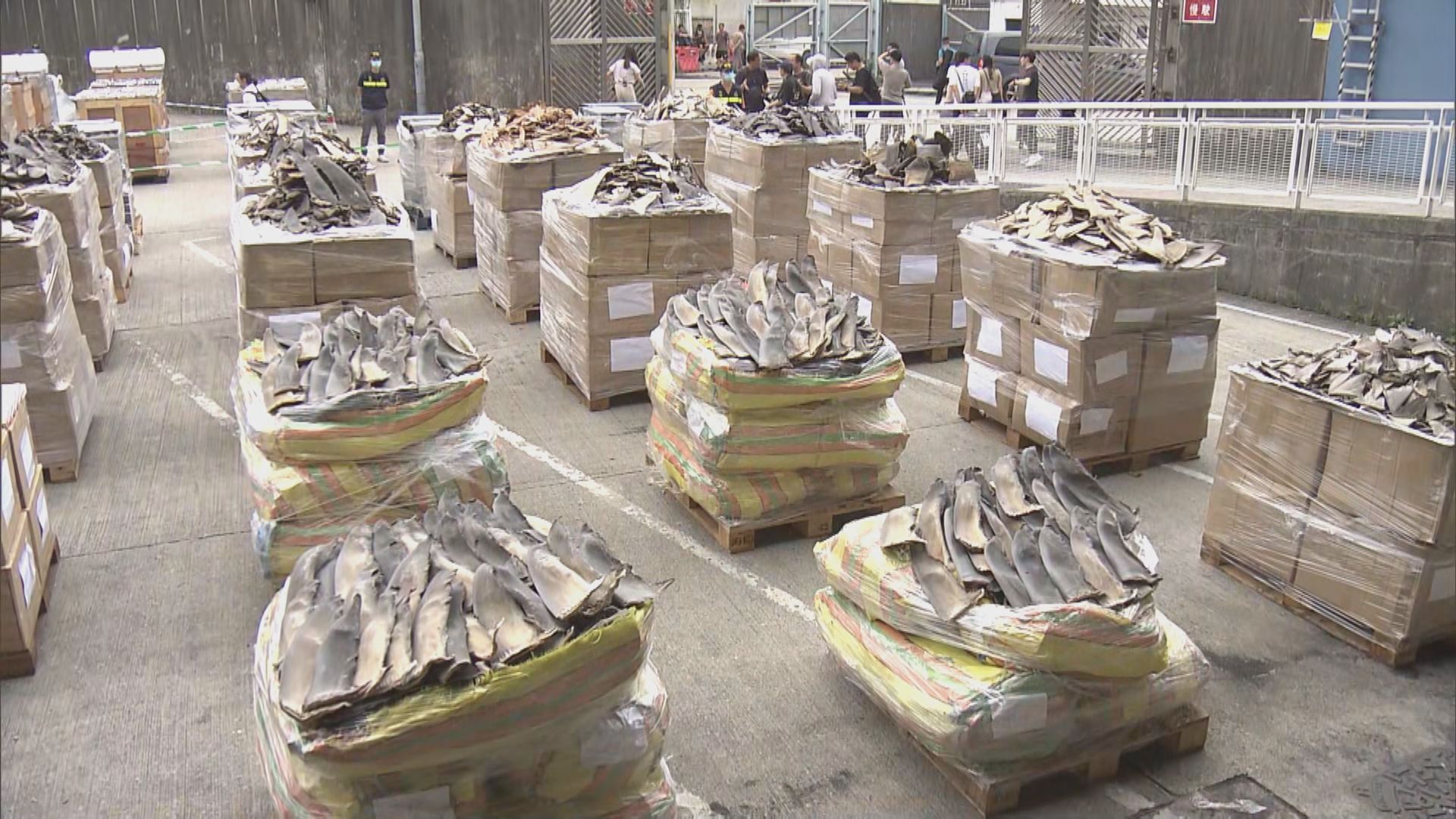 海關打擊海路走私檢2億貨物拘捕6人