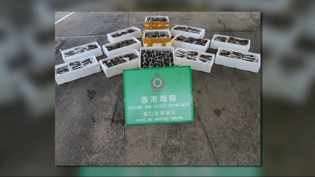 海關檢逾600隻懷疑走私大閘蟹