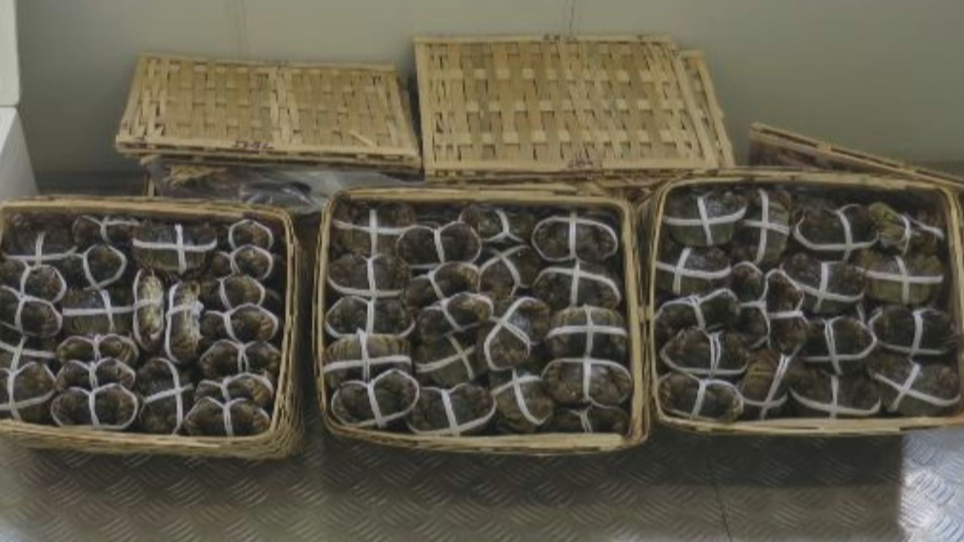 海關食環署檢獲逾300隻疑走私大閘蟹