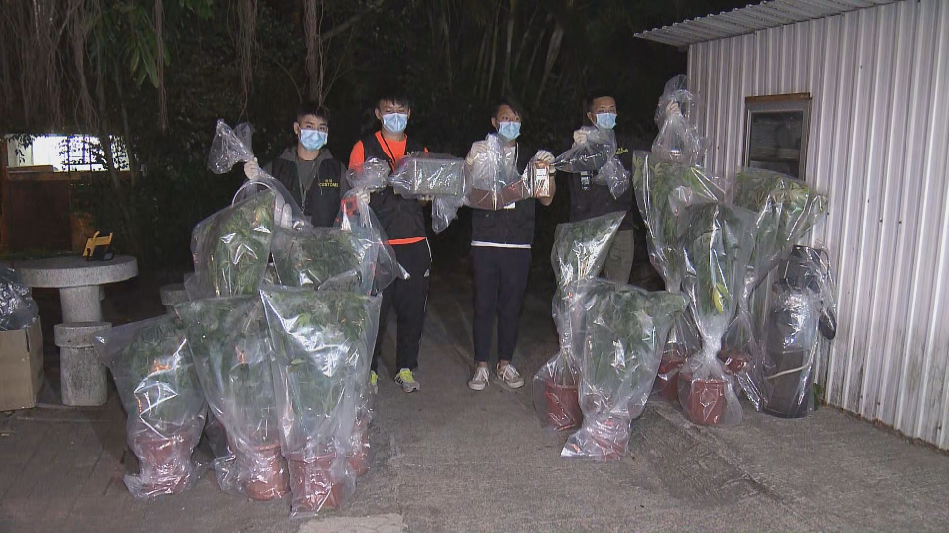 海關西貢村屋破大麻種植場拘一女