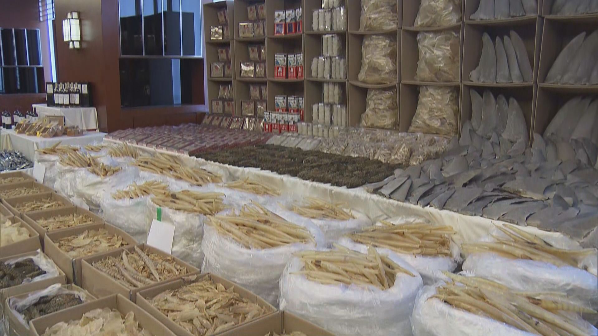 海關破歷來最大宗快艇走私案涉1.2億元