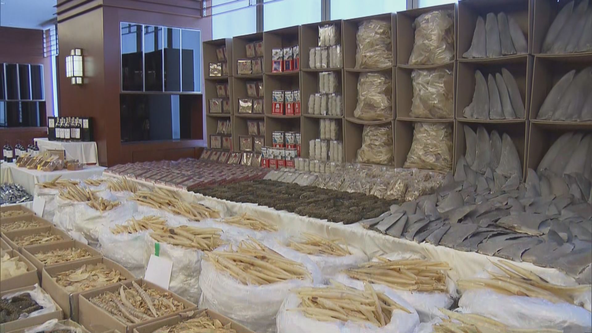 海關破歷來最大宗快艇走私案　涉1.2億元拘四人