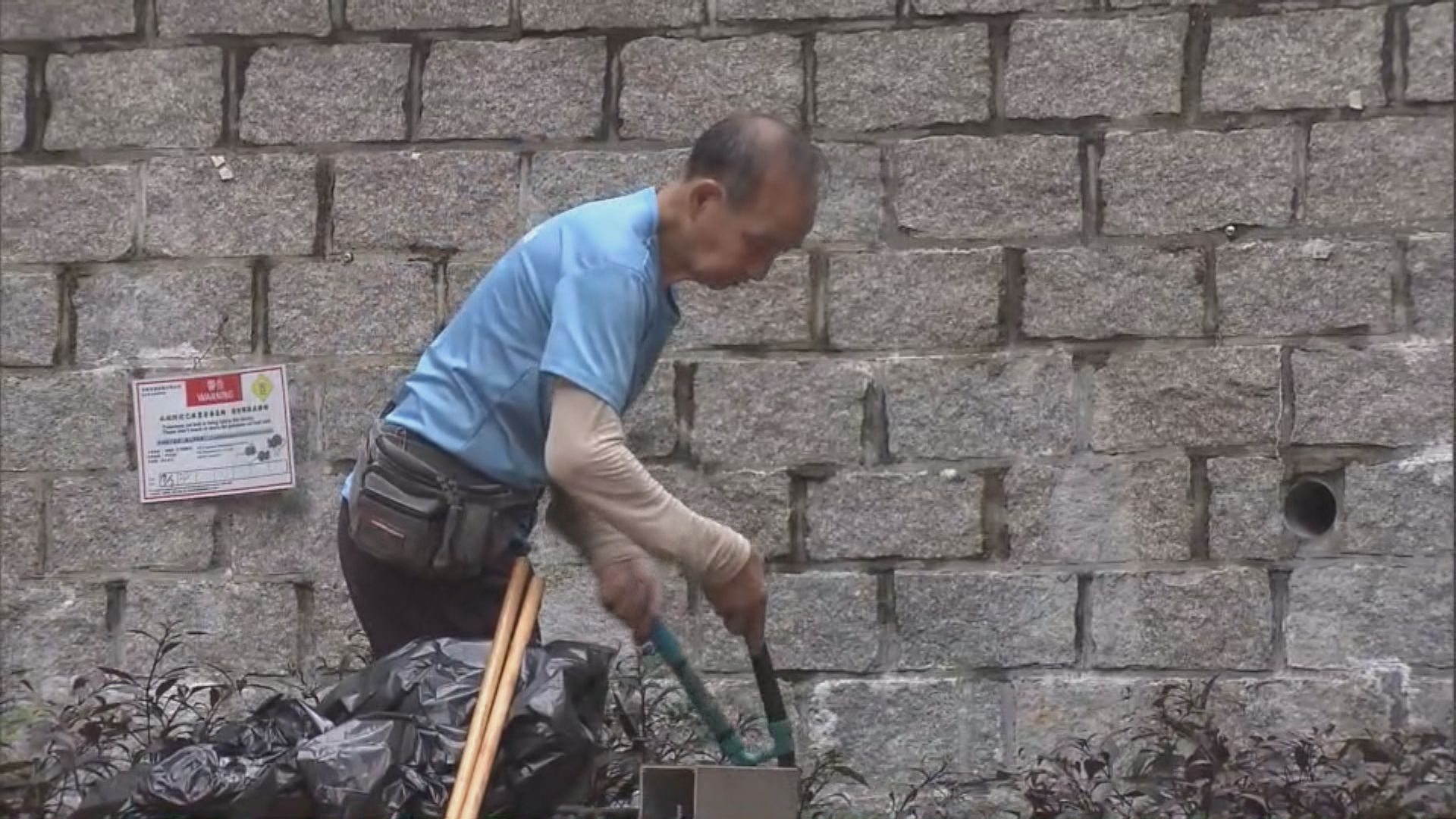 白紋伊蚊誘蚊器指數長沙灣最高　蘇屋邨居民：食環署滅蚊跟不上