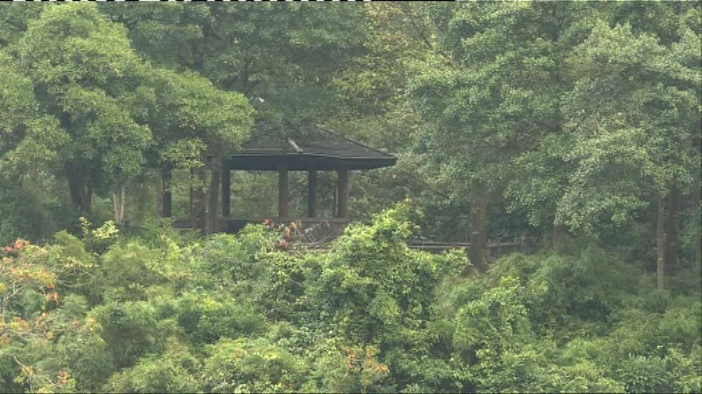 政府研究郊野公園用地興建公屋