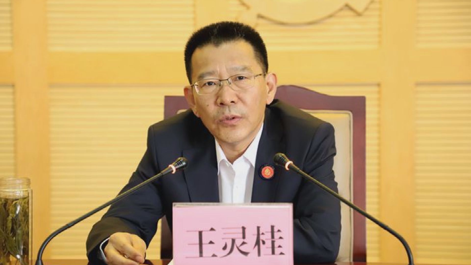 新任港澳辦副主任王靈桂曾與港區人大代表會面