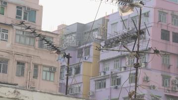 政府建議降低強拍申請門檻至七成或六成半