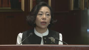 87%候任區議員屬地區三會委員 麥美娟稱無衝突可更好服務社區