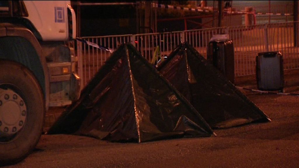 沙田母子倒斃私家車列謀殺自殺