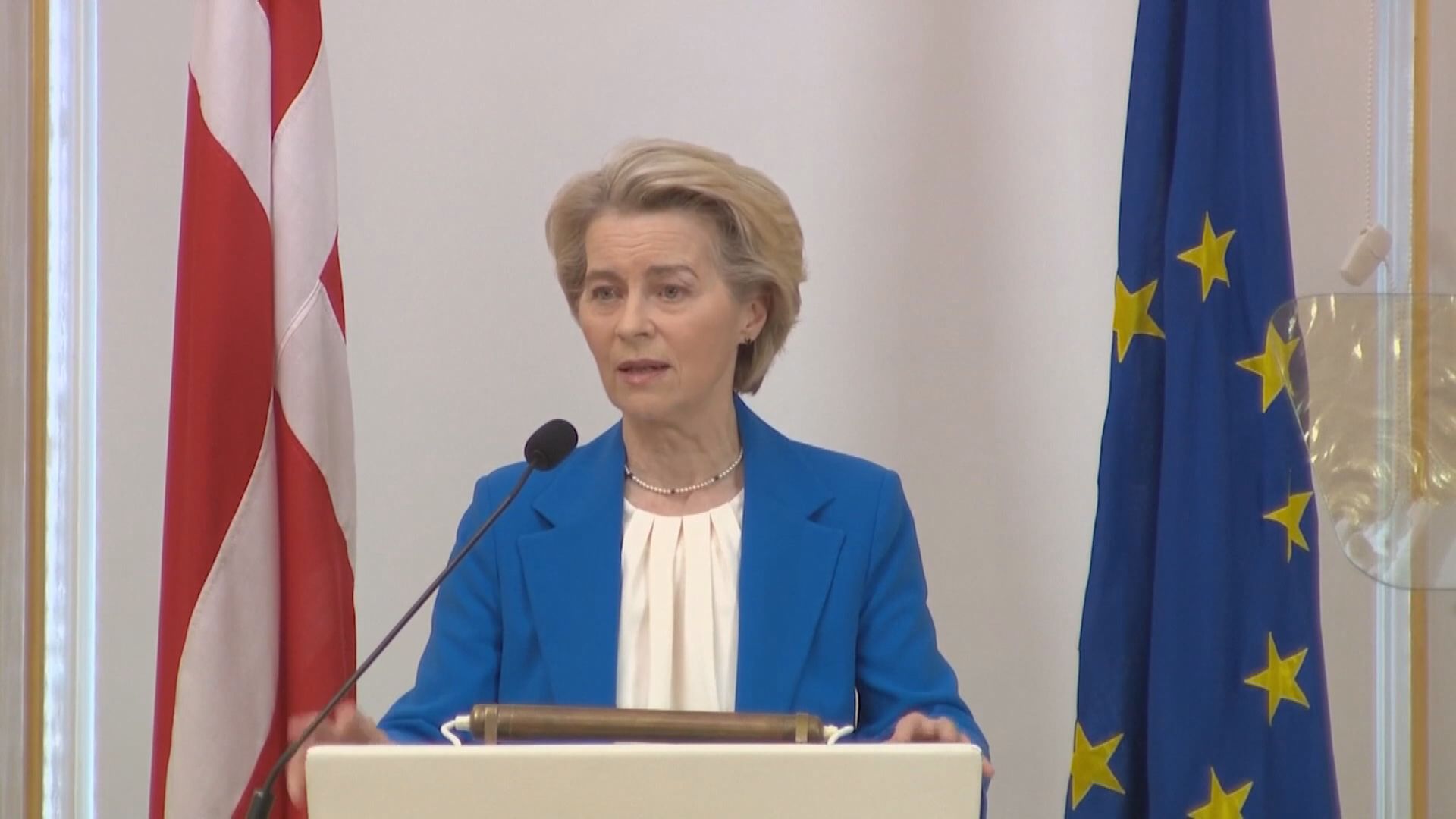 馮德萊恩：歐盟支持丹麥捍衛包括格陵蘭的主權及領土完整