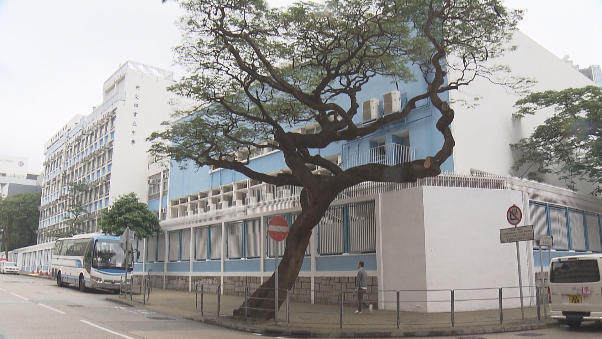 發展局將制定指引　就種樹土壤體積及深度訂要求