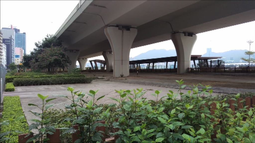 起動九龍東三幅地由藝土民間營運