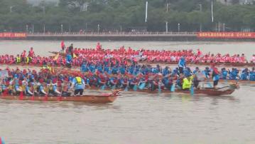 端午節假期 東莞推40多項龍舟活動吸引旅客感受氣氛