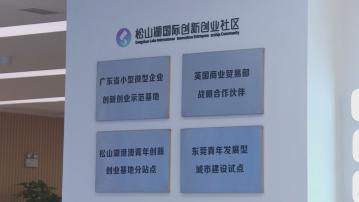 東莞松山湖設港澳台人才服務中心 冀吸引港澳青年企業落戶 