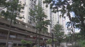 基孔肯雅熱｜新增輸入個案居美孚新邨　有居民指屋苑公園多蚊