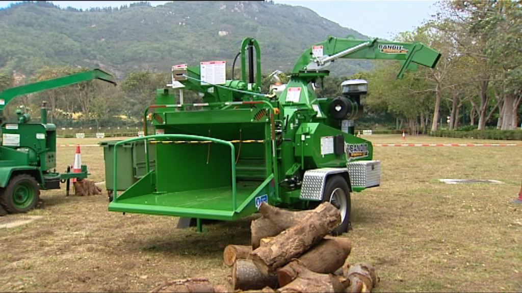 迪士尼：綠色廢料可變有機覆蓋物