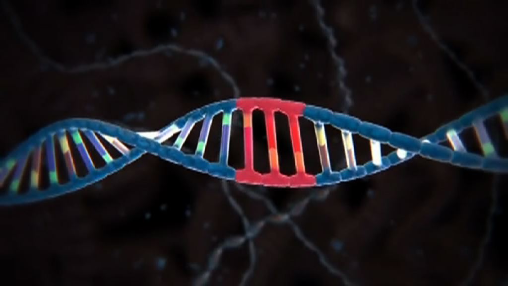 科學家首次修復胚胎遺傳病基因