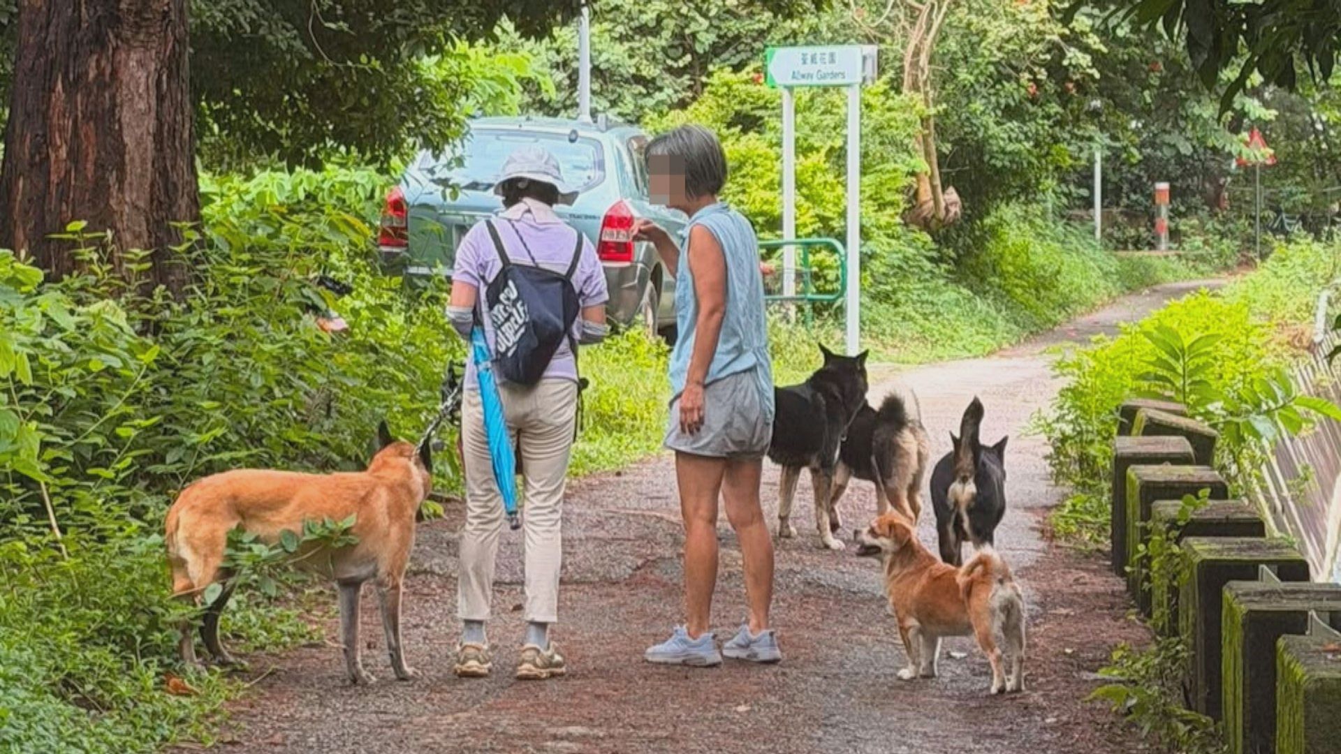 荃灣狗咬狗　漁護署跟進