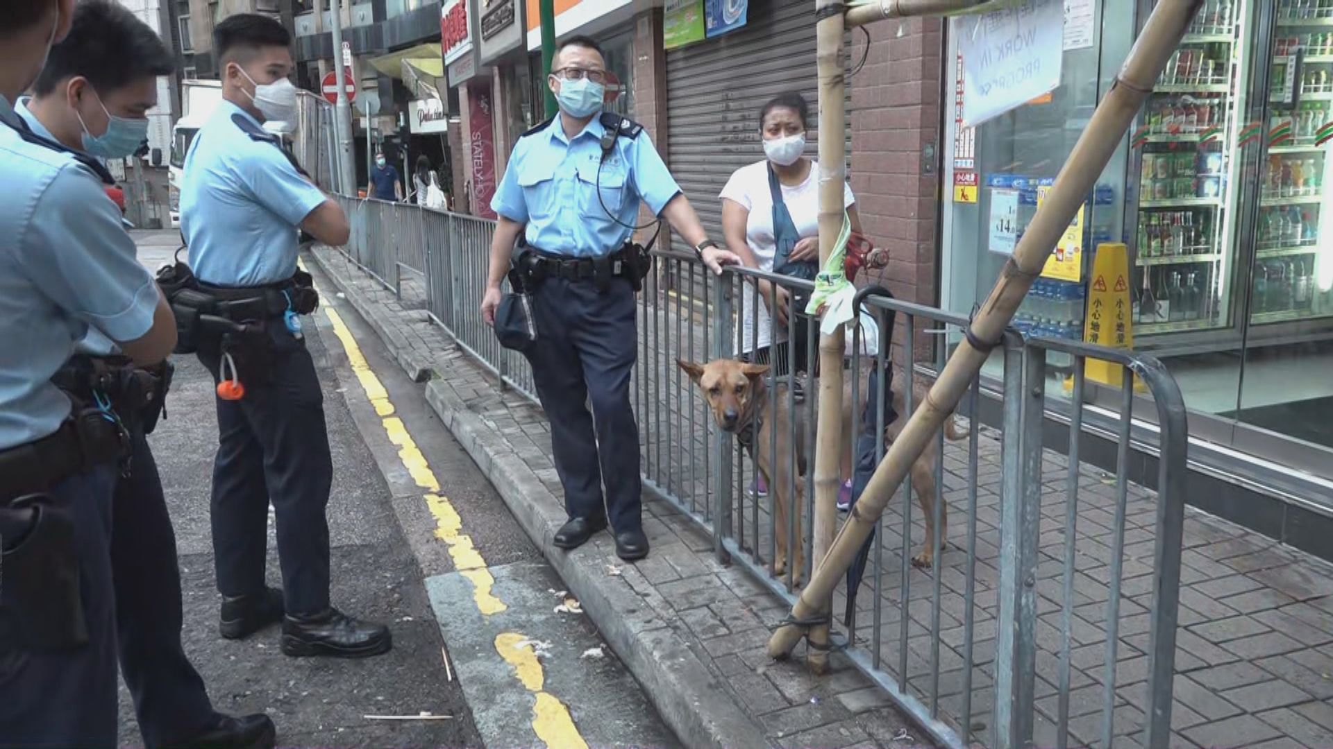 中區唐狗頭部意外卡鐵欄獲救