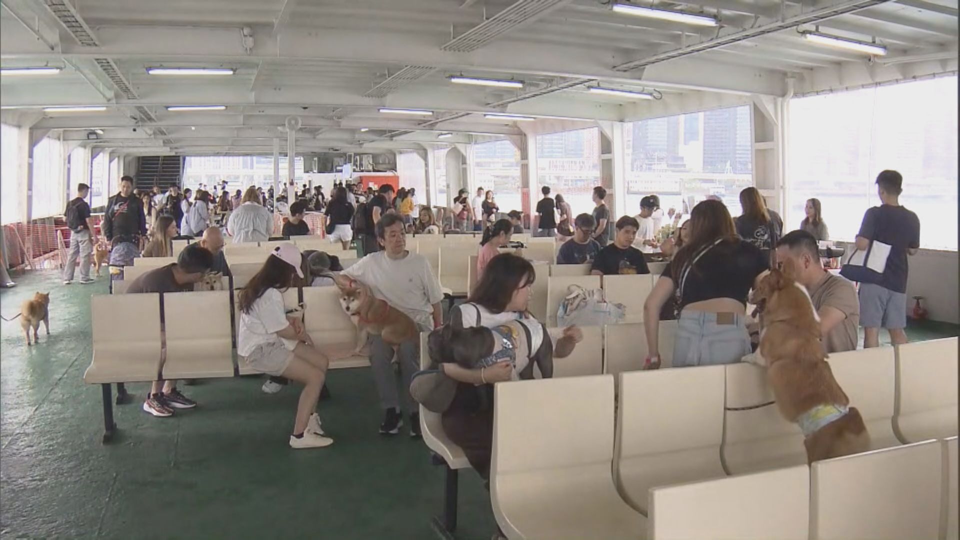 渡輪公司復活節辦寵物慈善海上派對