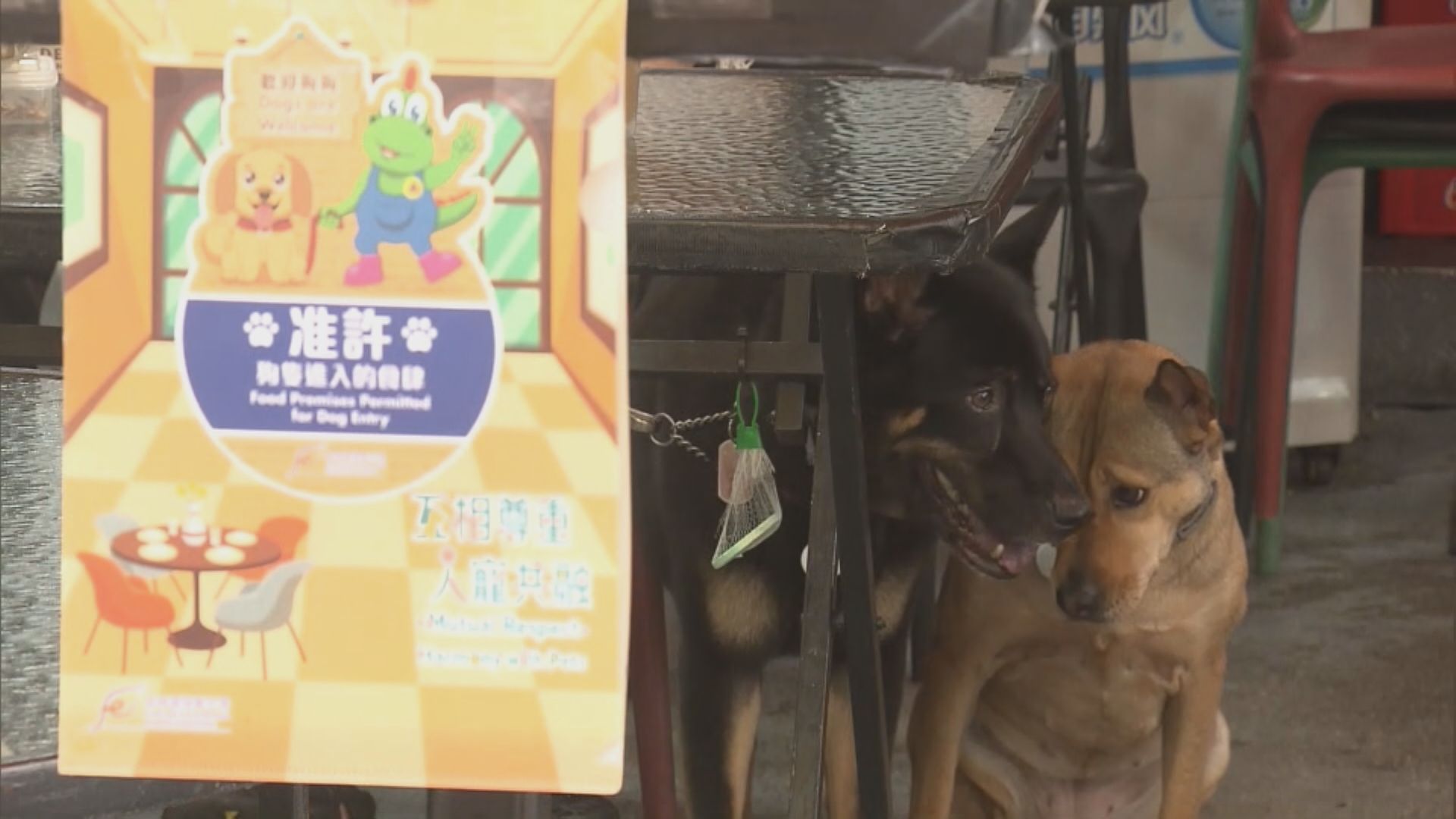 顧客即日起可帶狗隻進入獲批食肆