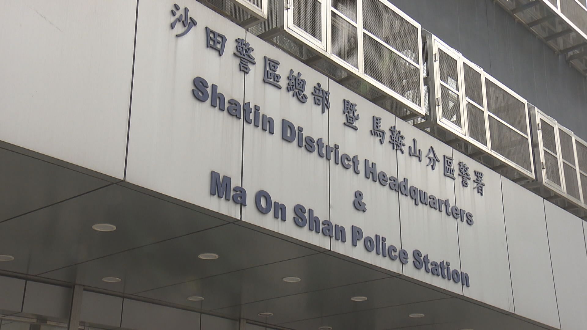 警方於馬鞍山拘一女子疑將狗隻吊在樹上