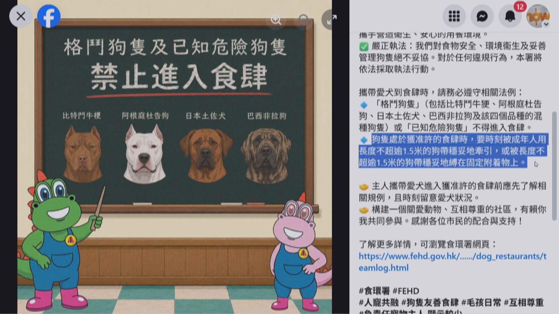 打鼓嶺狗咬死人｜食環署：格鬥狗隻及「已知危險狗隻」不得進入食肆　帶寵物狗入食肆須守法