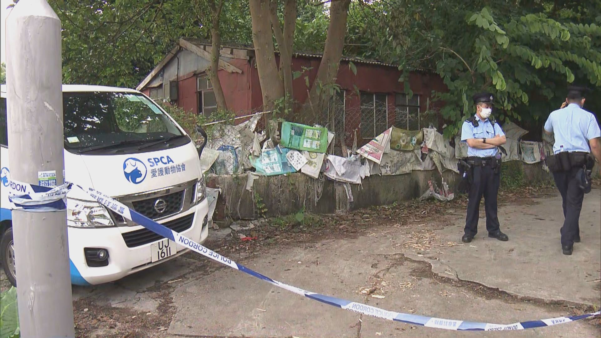 元朗村屋發現四十多隻貓狗疑被人疏忽照顧