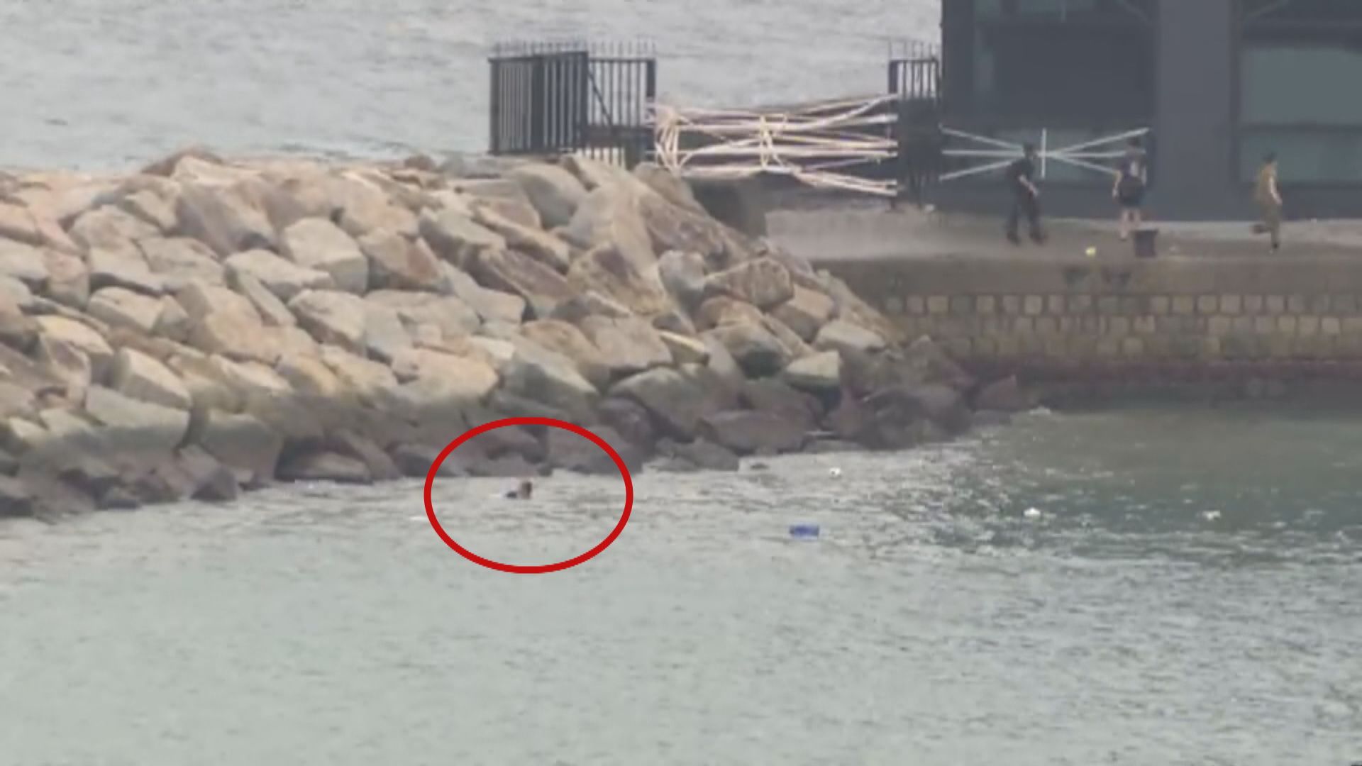 一家三口八號信號生效期間柴灣墮海　兩人昏迷送院