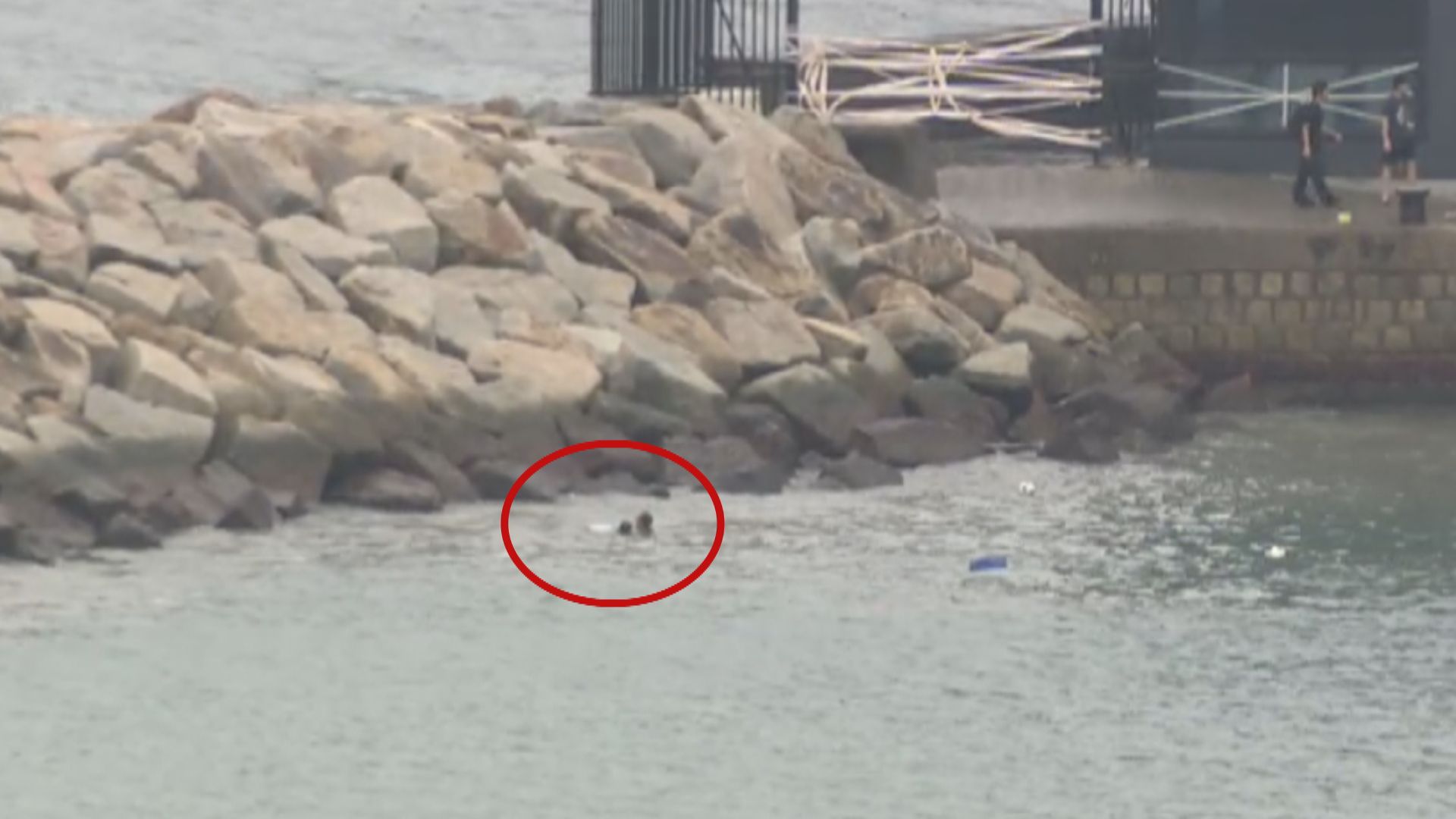 樺加沙襲港｜柴灣墮海一家兒子情況仍嚴重　父已出院母轉穩定