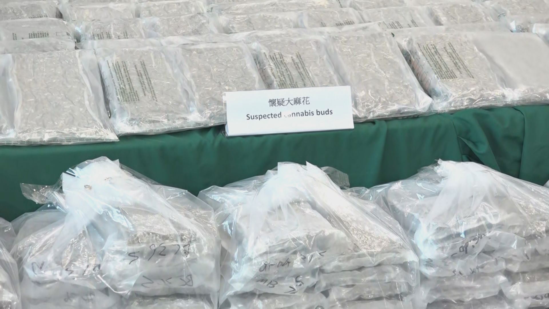 海關檢獲348公斤懷疑大麻花拘兩人