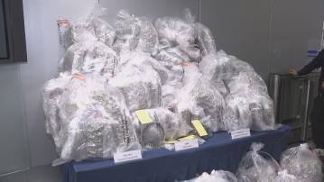 警方檢128公斤大麻花 三名男子涉販毒被捕