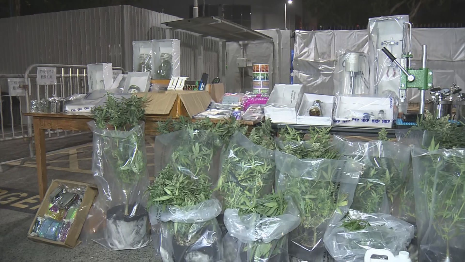 警方破大麻種植場檢多類製成品　拘兩男女