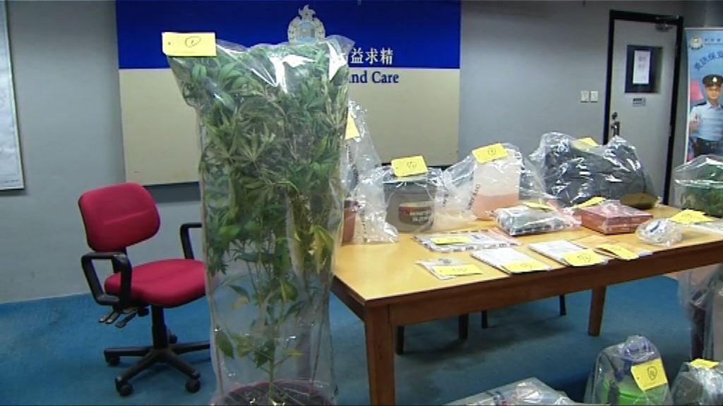 警方檢獲巿值約二千萬元大麻　拘兩人