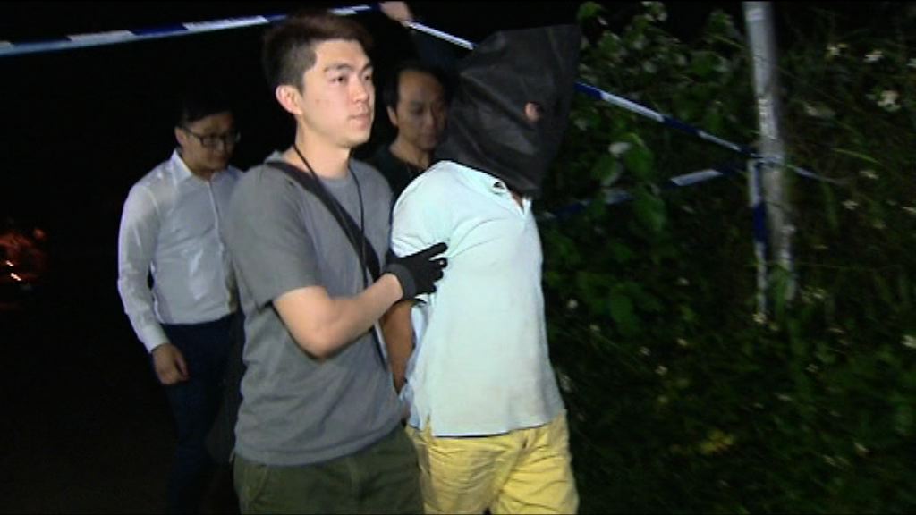 警方大埔破大麻種植場拘一漢