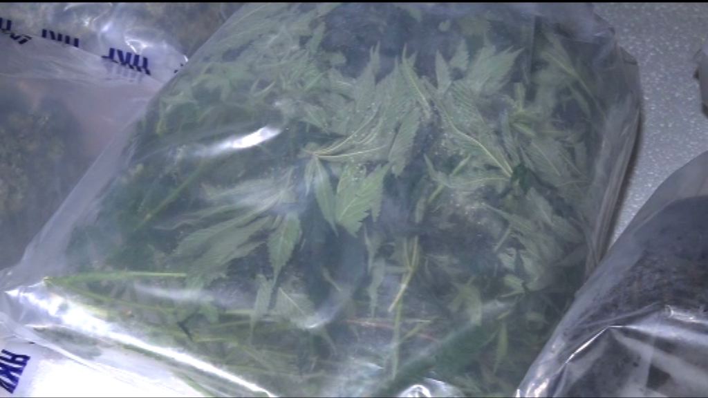 警破逾千萬元大麻種植場拘兩人